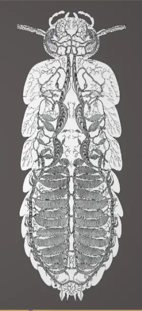 IMG-7BABA1F03E1A034C7F4152F41BECB316.webp
